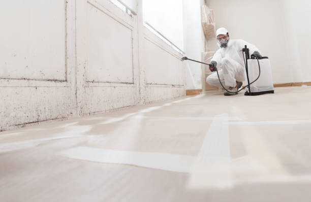24/7 Emergency Mold Inspection experts in Rixeyville, VA
