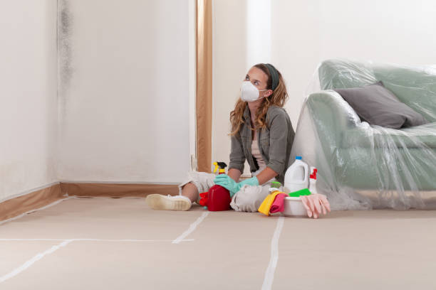 Trusted Basement Mold Remediation service in Rixeyville, VA - Cheap Mold Removal